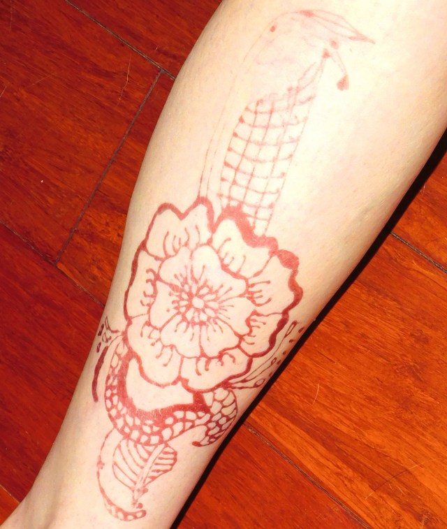 DSCN0358_picmonkeyed