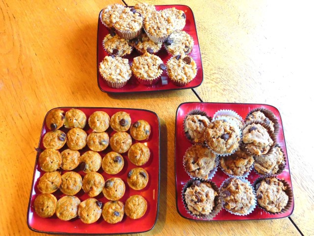 DSCN0364_picmonkeyed