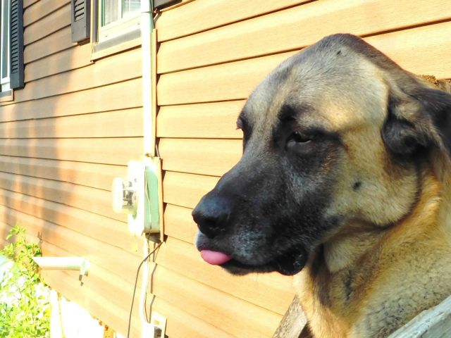 DSCN0537_picmonkeyed