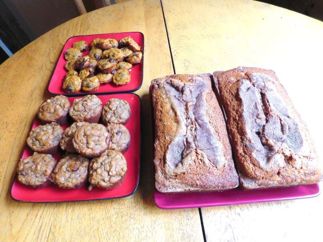 DSCN0654_picmonkeyed