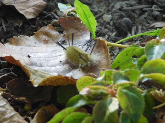 DSCN0940_picmonkeyed