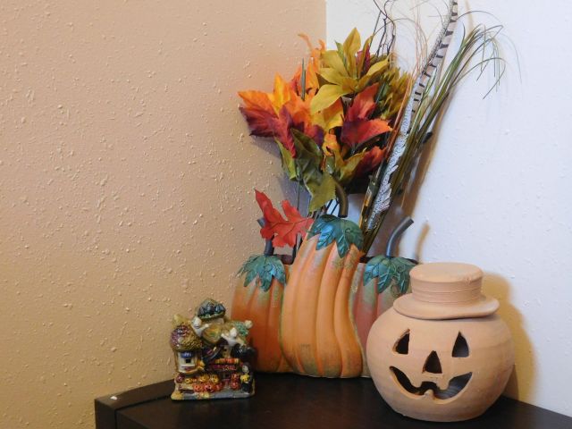 DSCN0841_picmonkeyed