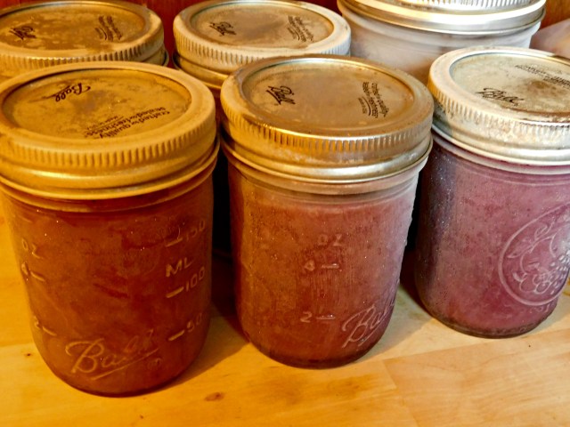 DSCN1072 (1)_picmonkeyed