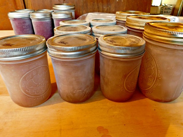 DSCN1074 (1)_picmonkeyed