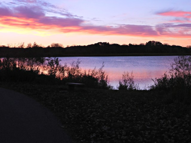 DSCN1104_picmonkeyed