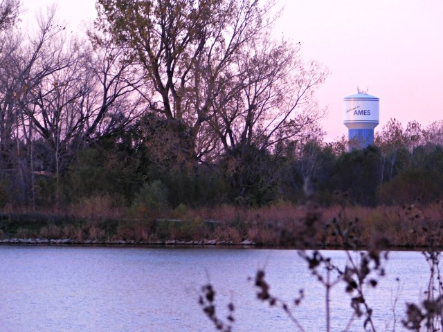 DSCN1117_picmonkeyed