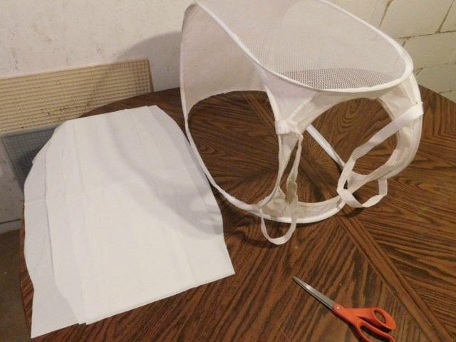 DSCN1263_picmonkeyed