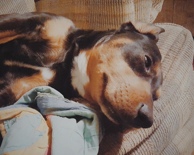 Processed with VSCOcam with m5 preset