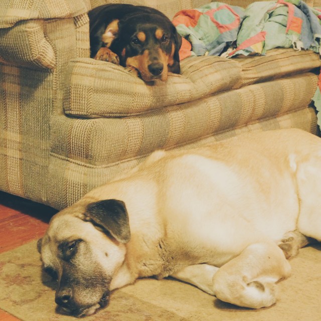 Processed with VSCOcam with hb1 preset